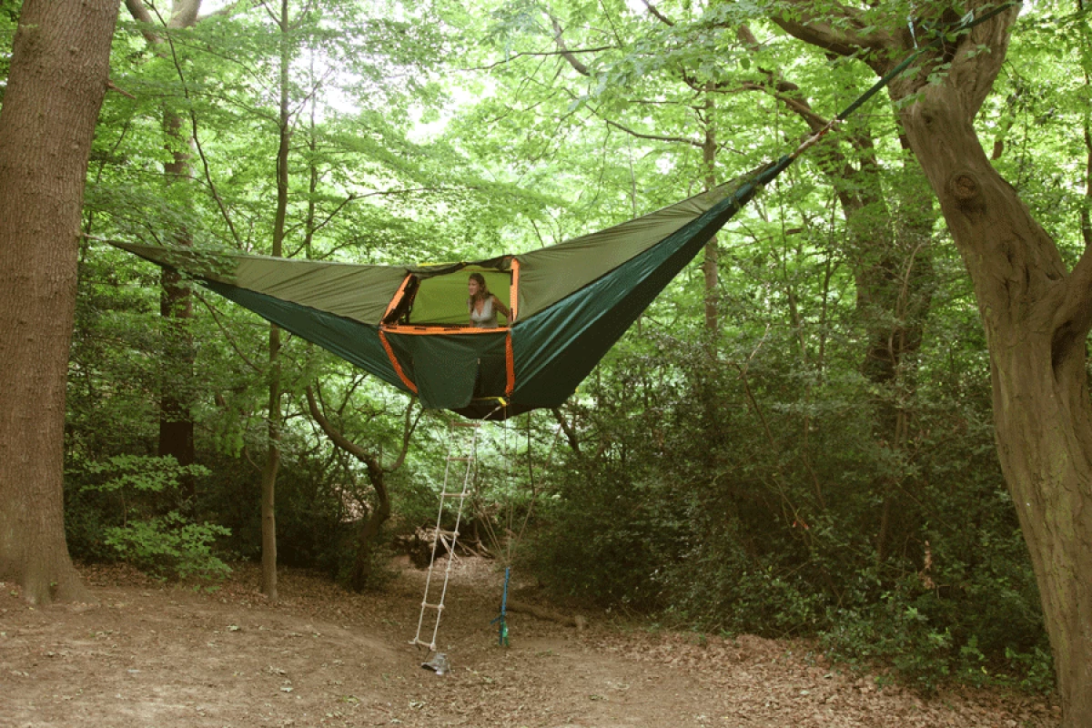Best Camping Hammocks Under $50 (Comfortable and Lightweight Picks)