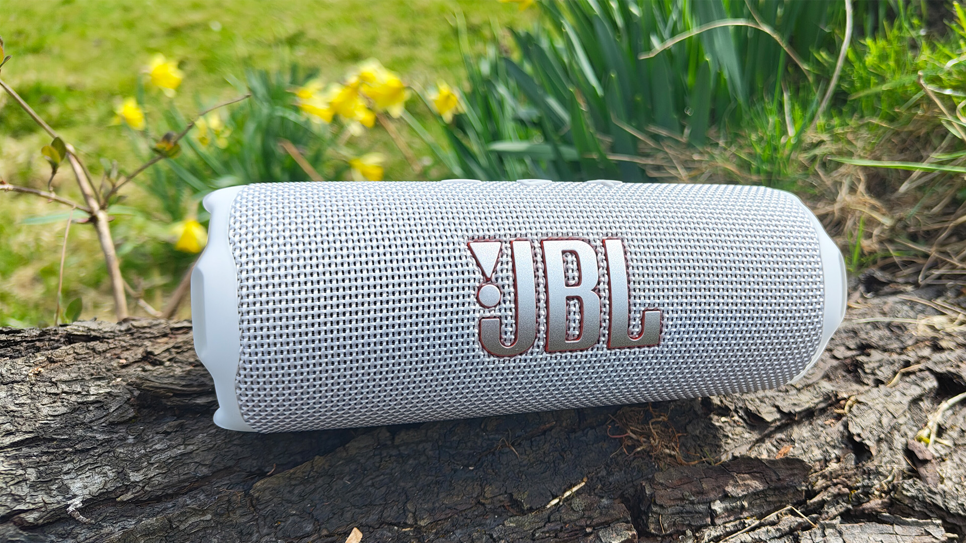 Best Bluetooth Speakers Under $50 (Portable Sound with Great Value)